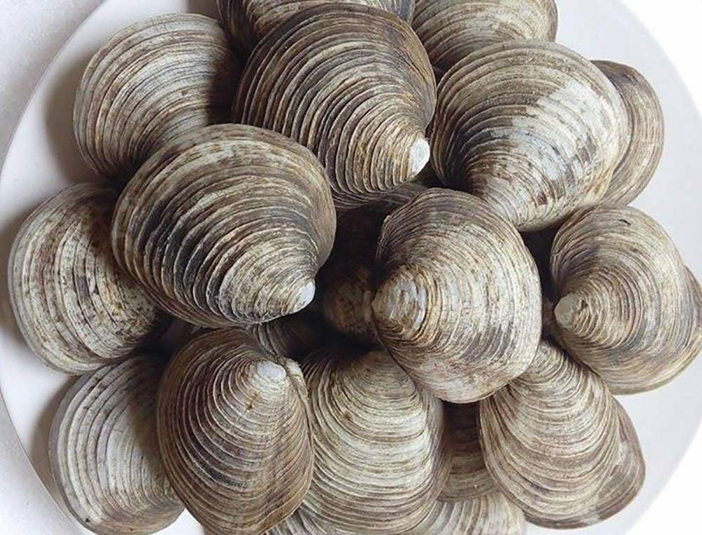 20 món đặc sản phải thử ở Hạ Long ngon, đáng trải nghiệm nhất trong chuyến du lịch biển