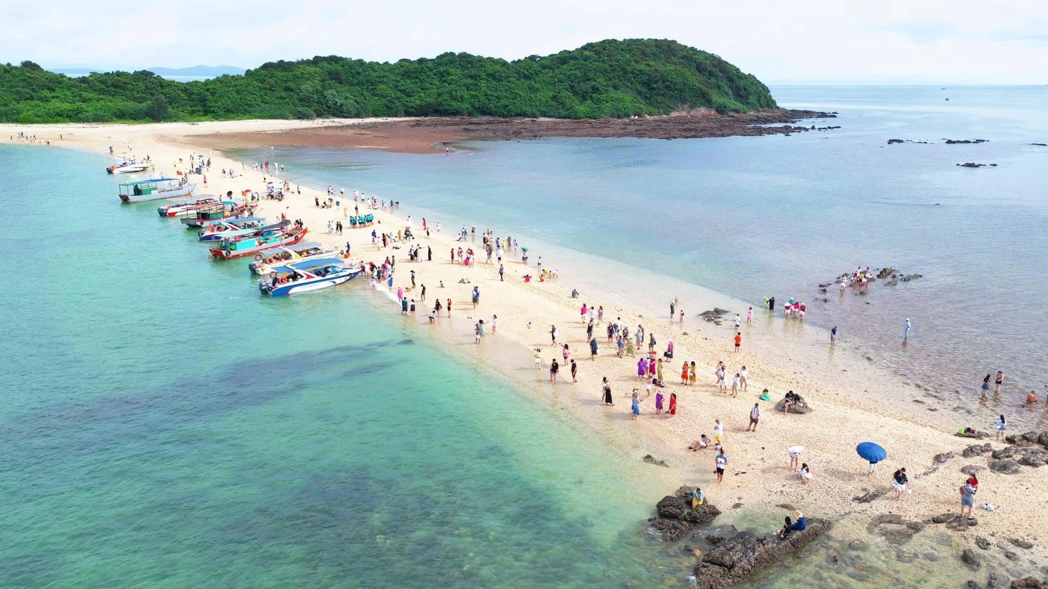 Đi Cô Tô mùa nào đẹp nhất? Kinh nghiệm khám phá hòn đảo thiên đường của Quảng Ninh