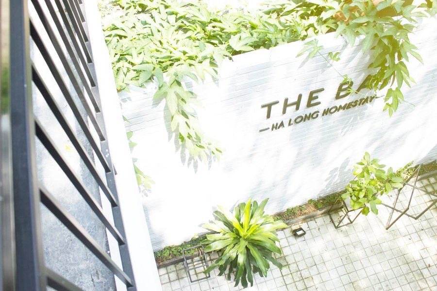 Review The Bay – Ha Long Homestay: Homestay xanh, vị trí trung tâm tại Bãi Cháy